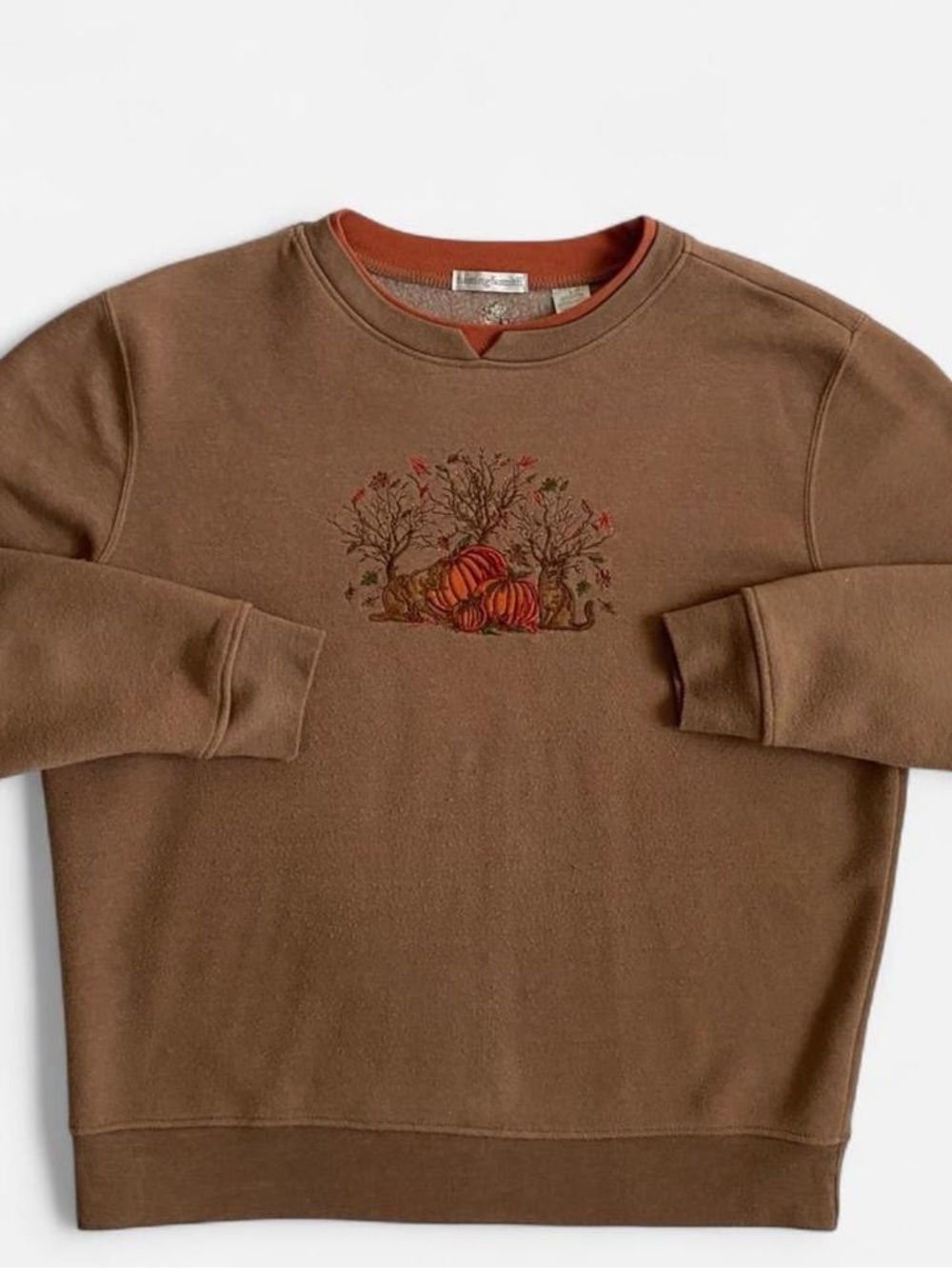 Brown cats & pumpkins fall sweatshirt